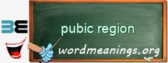 WordMeaning blackboard for pubic region